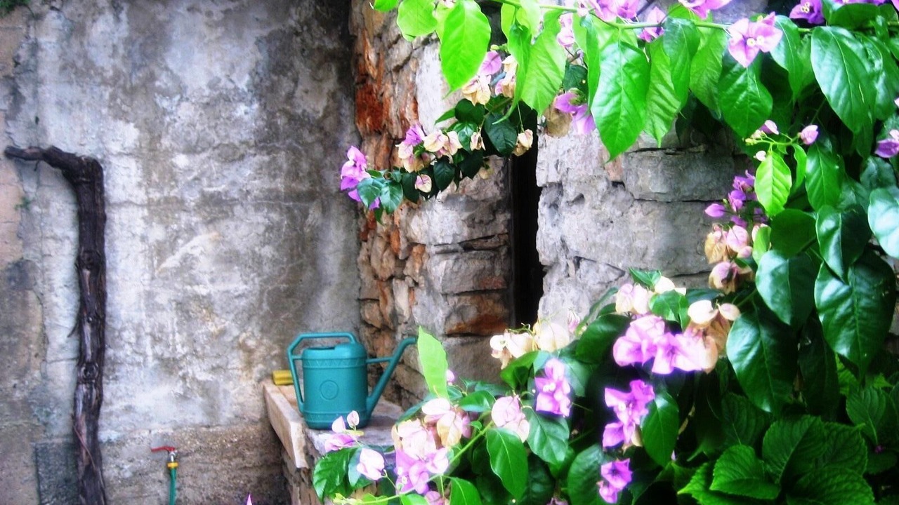 Photo of Outdoor in Island Hvar