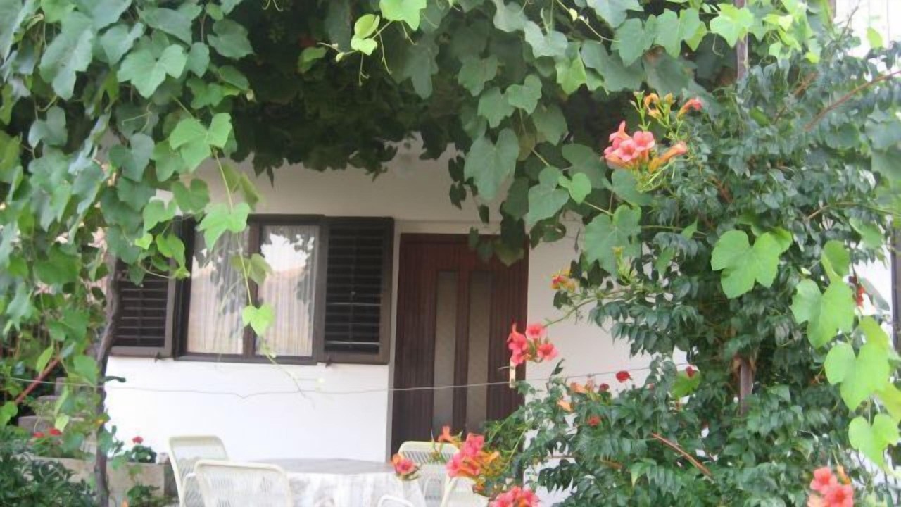 Photo of Outdoor in Island Hvar