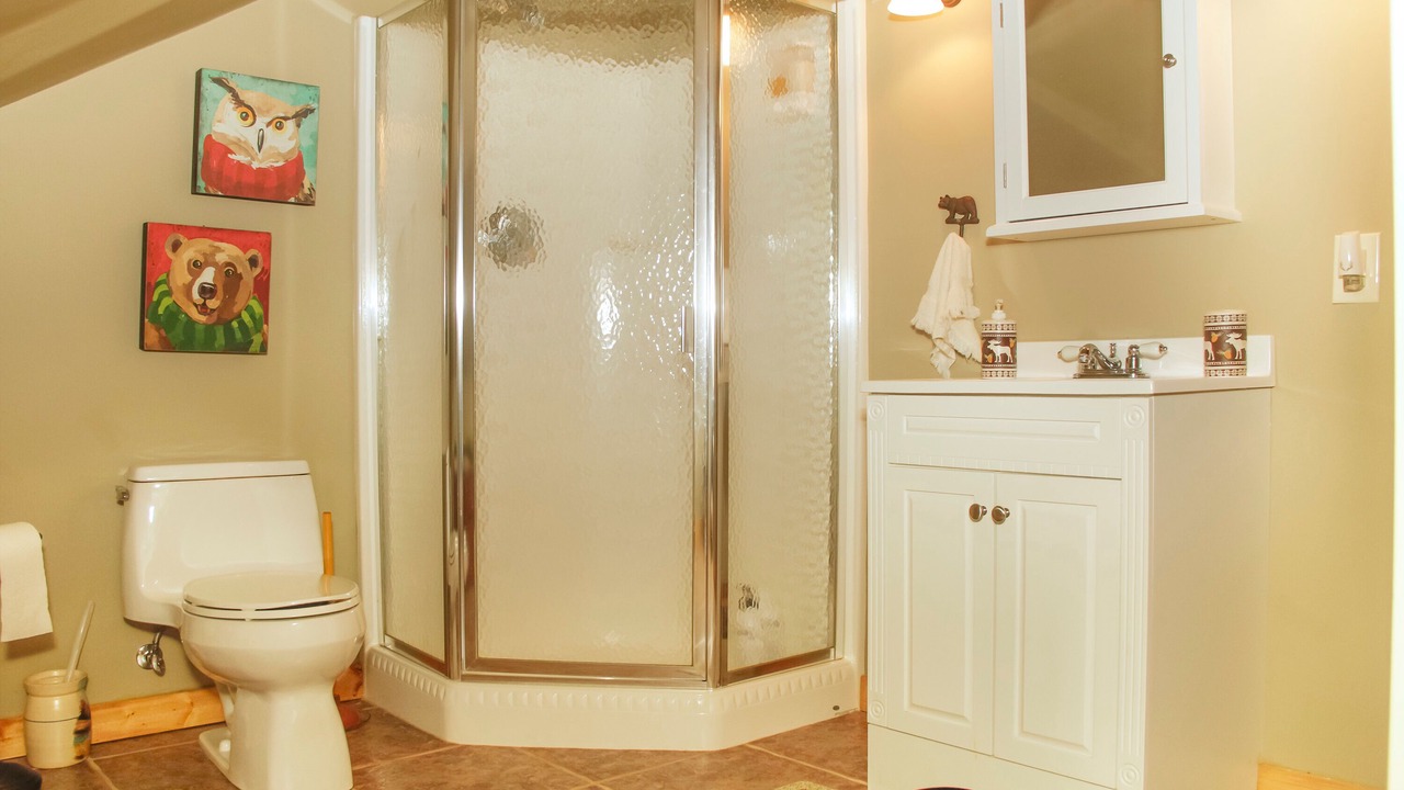 Photo of Bathroom in Mountain Home