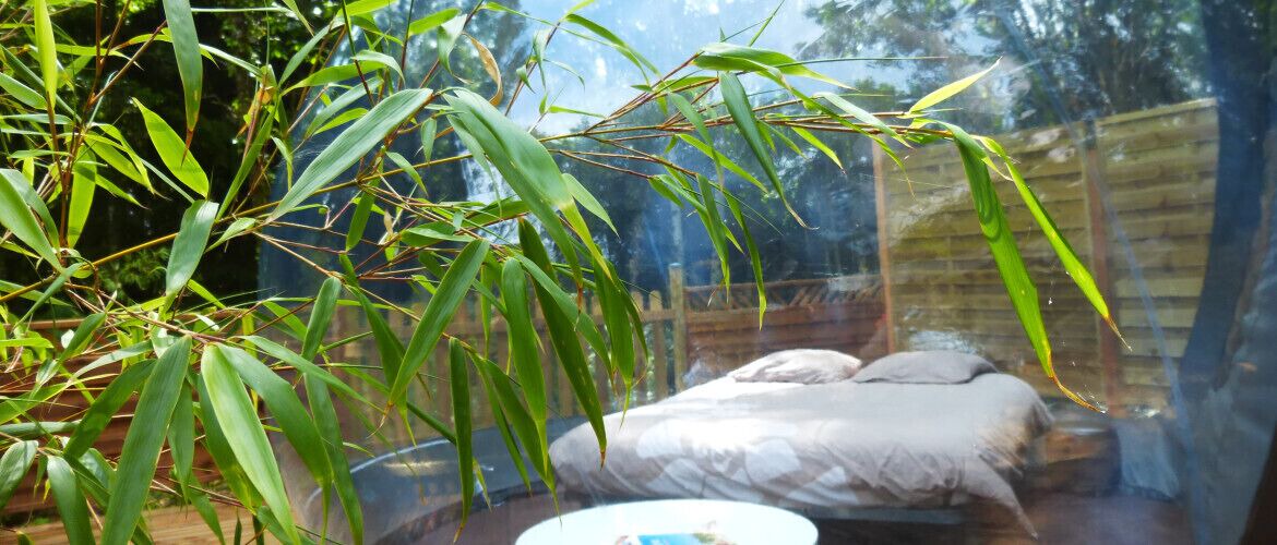 Photo of Others in Dournazac