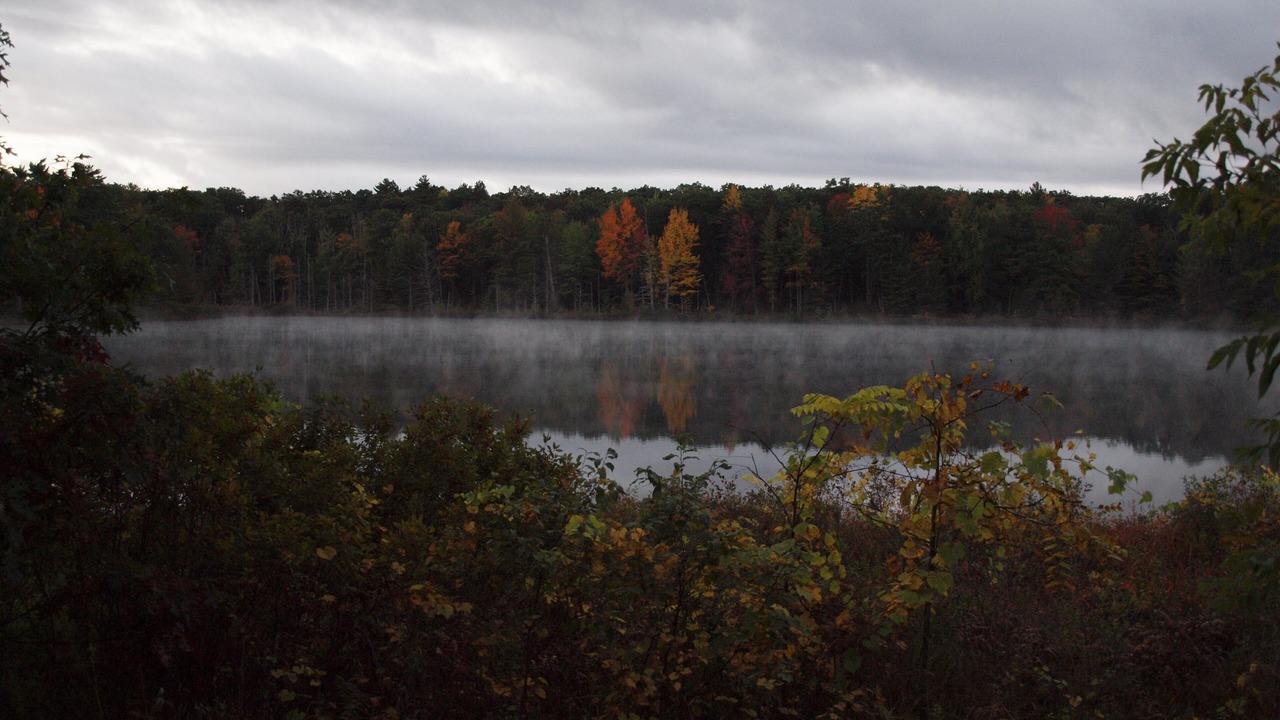 Photo of Outdoor in Mayfield