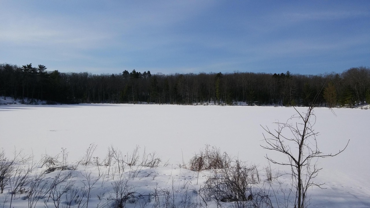 Photo of Outdoor in Mayfield
