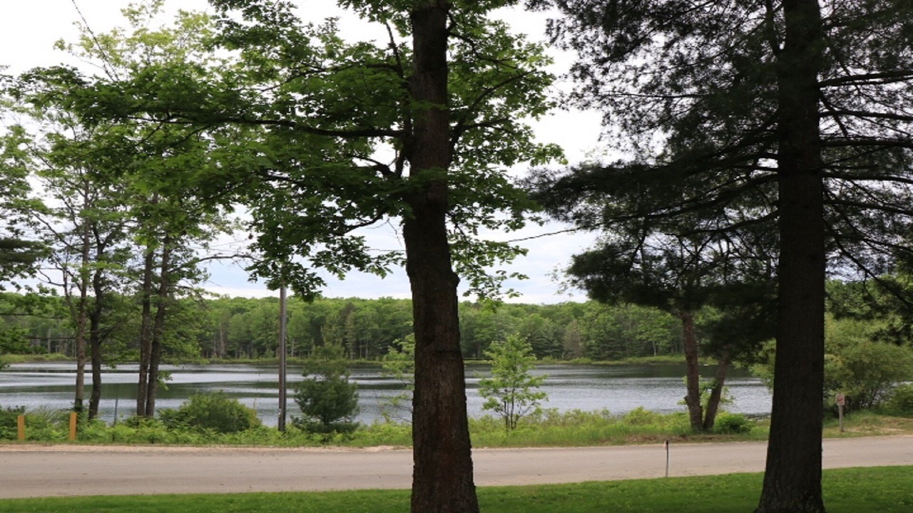 Photo of Outdoor in Mayfield