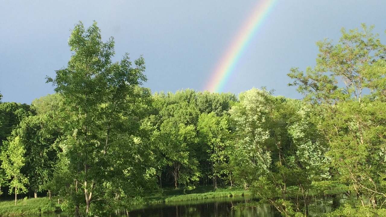 Photo of Others in Marinette