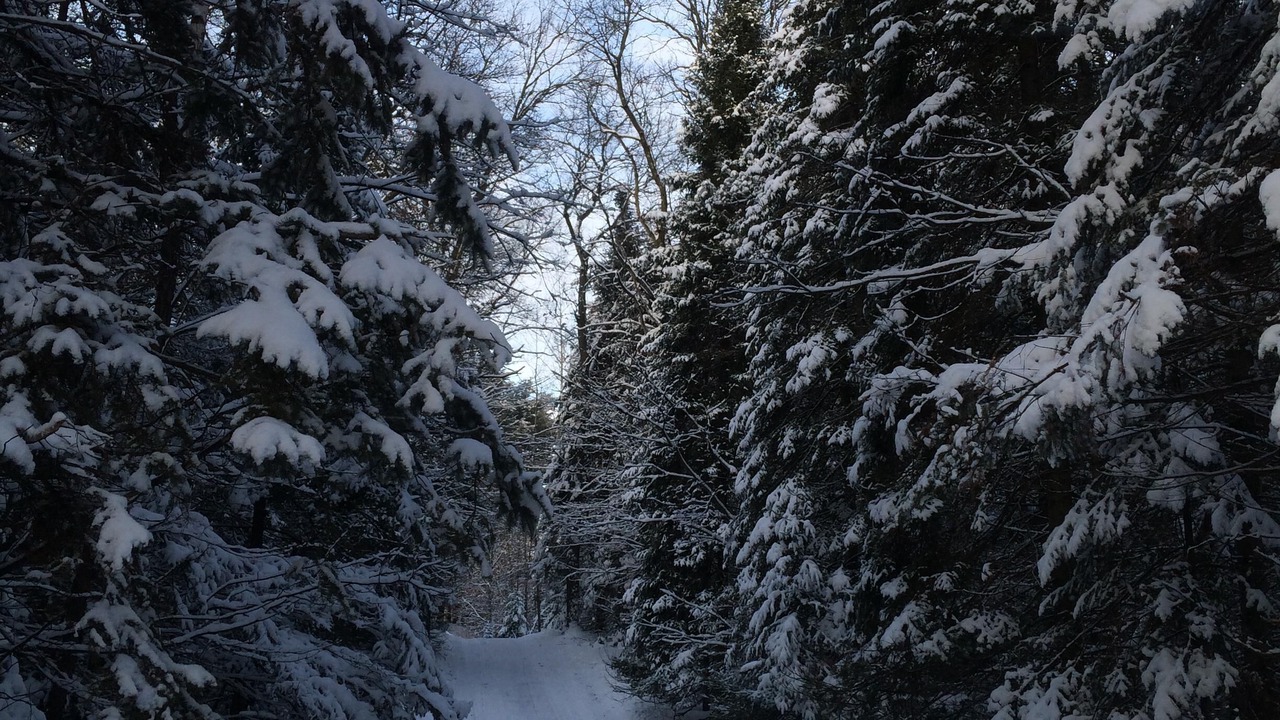 Photo of Others in Marinette