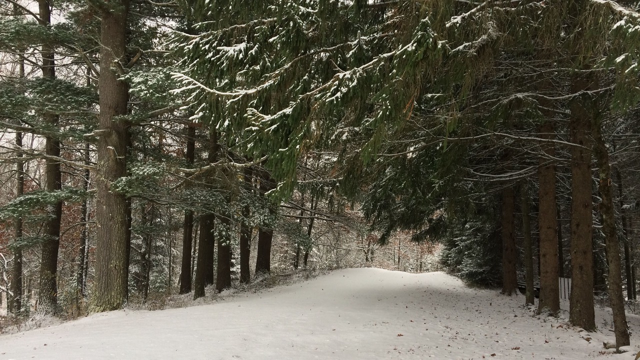 Photo of Others in Marinette