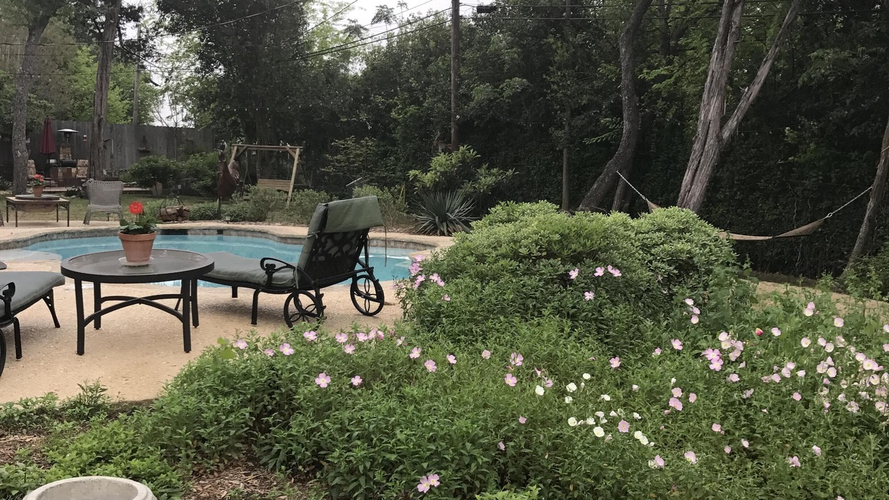 Photo of Outdoor in Kerrville