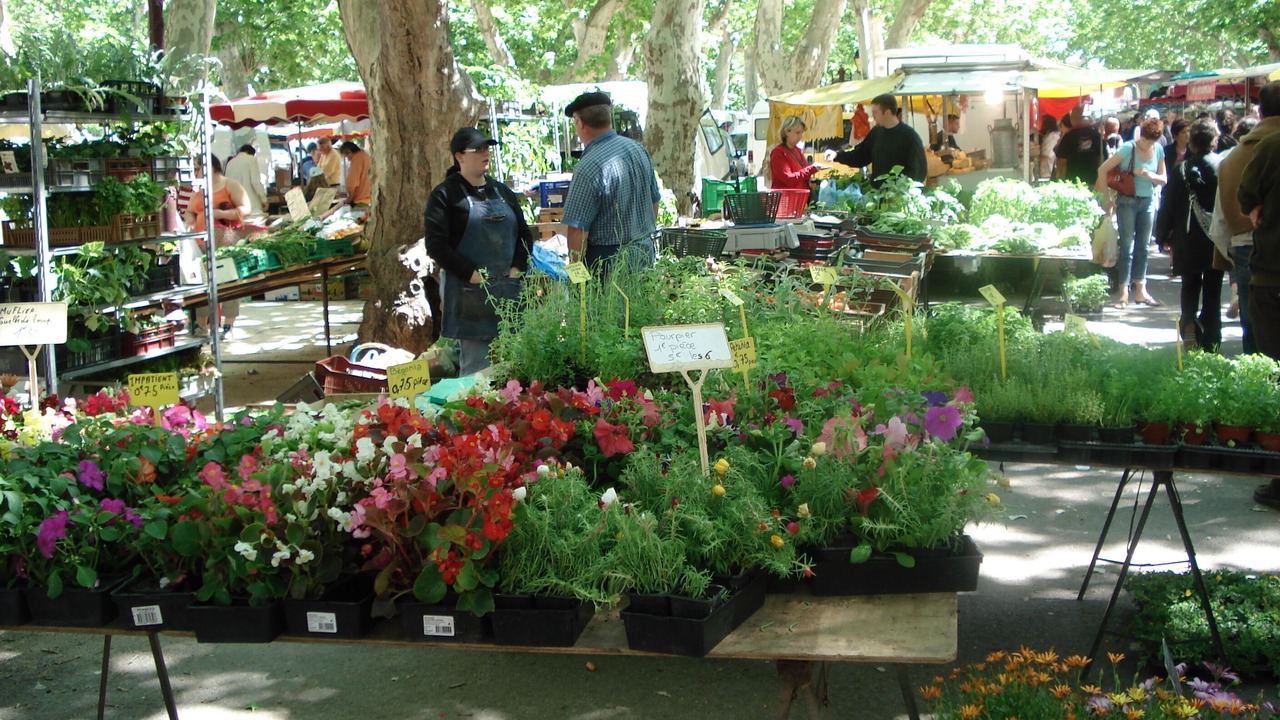 Photo of Outdoor in Saint-Chinian