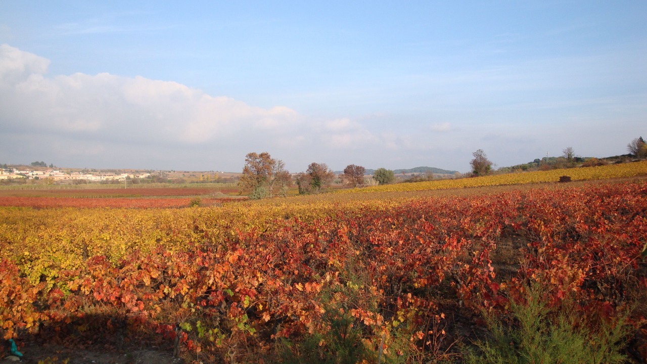 Photo of Outdoor in Saint-Chinian