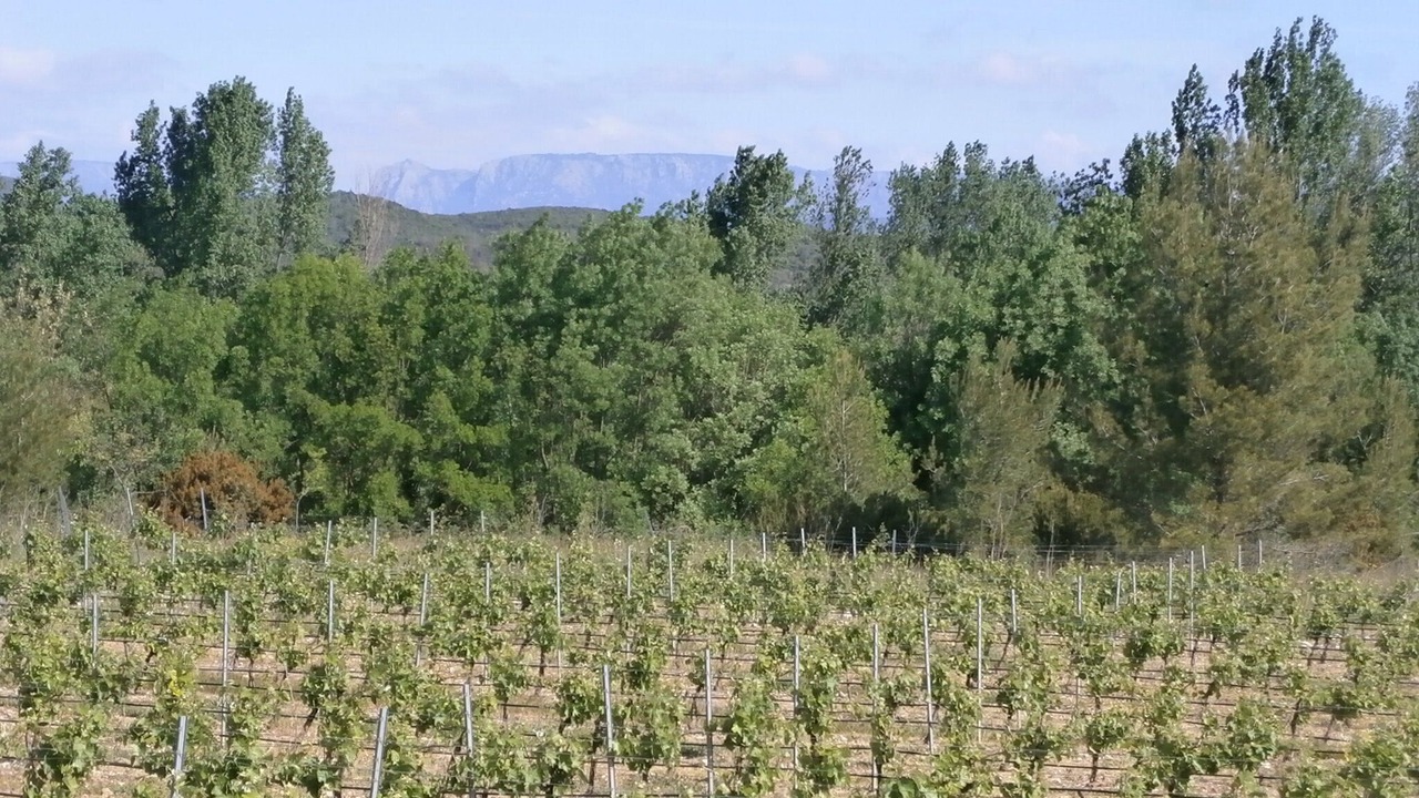 Photo of Outdoor in Saint-Chinian