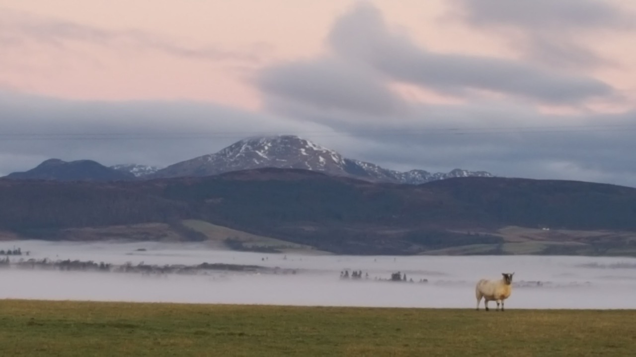 Photo of Others in Kippen