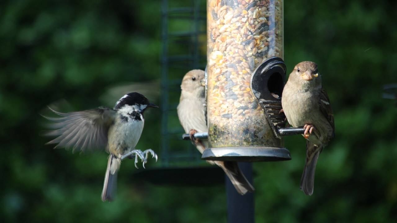 Photo of Others in Kippen