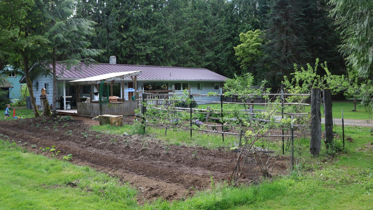Photo of Outdoor in Marblemount