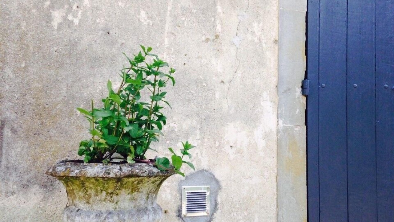 Photo of Others in Sainte-Eulalie