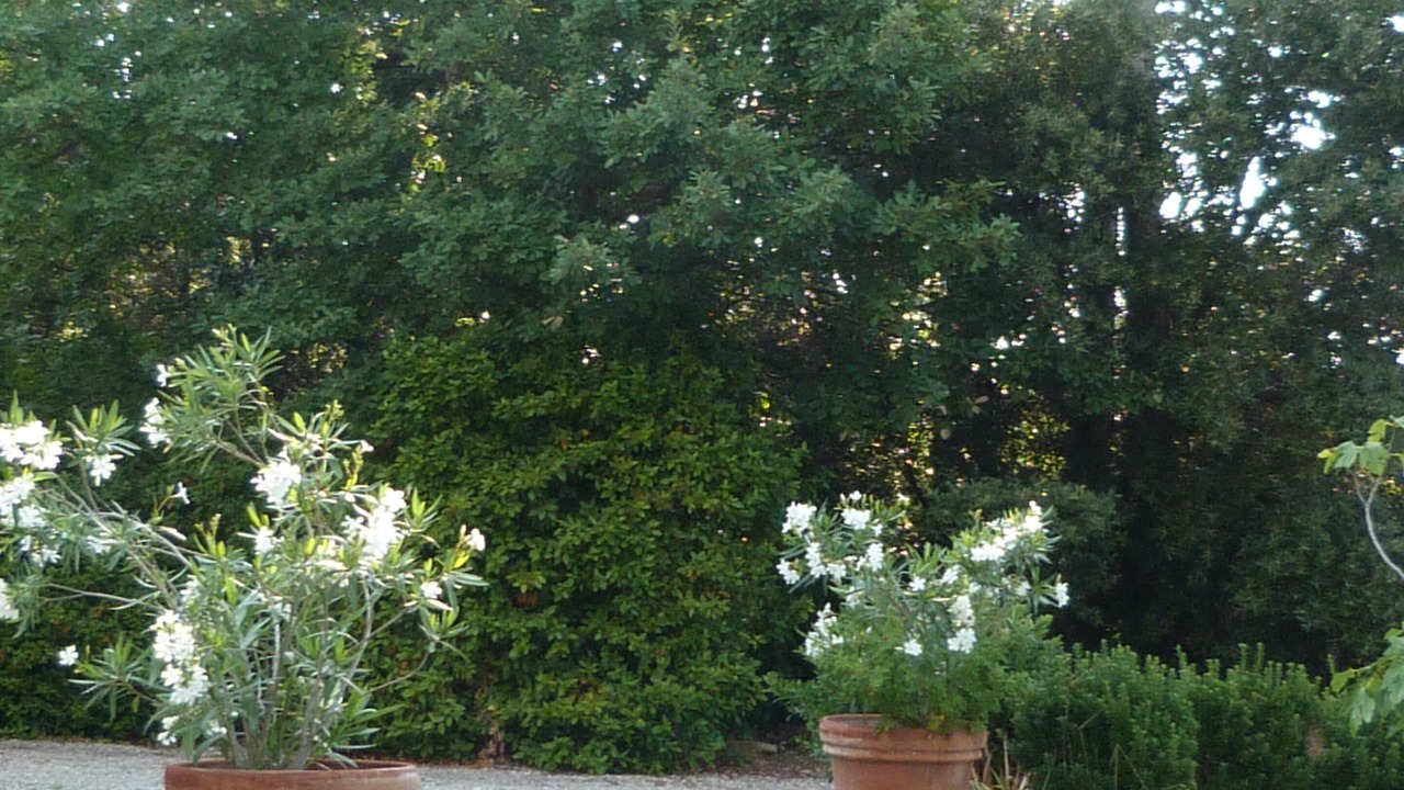 Photo of Others in Sainte-Eulalie