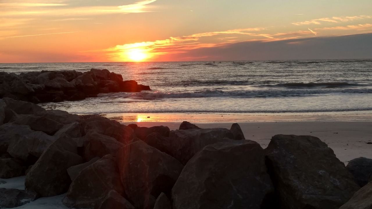 Photo of Others in St. Pete Beach