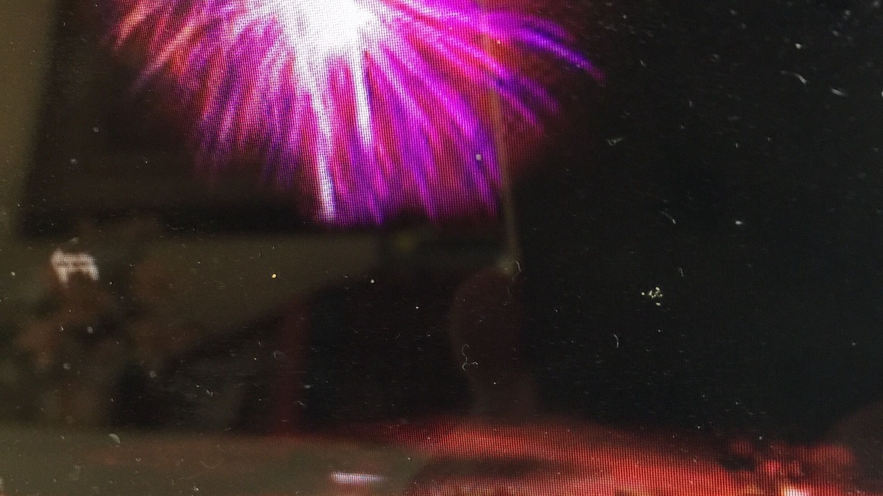 Photo of Others in Waikiki