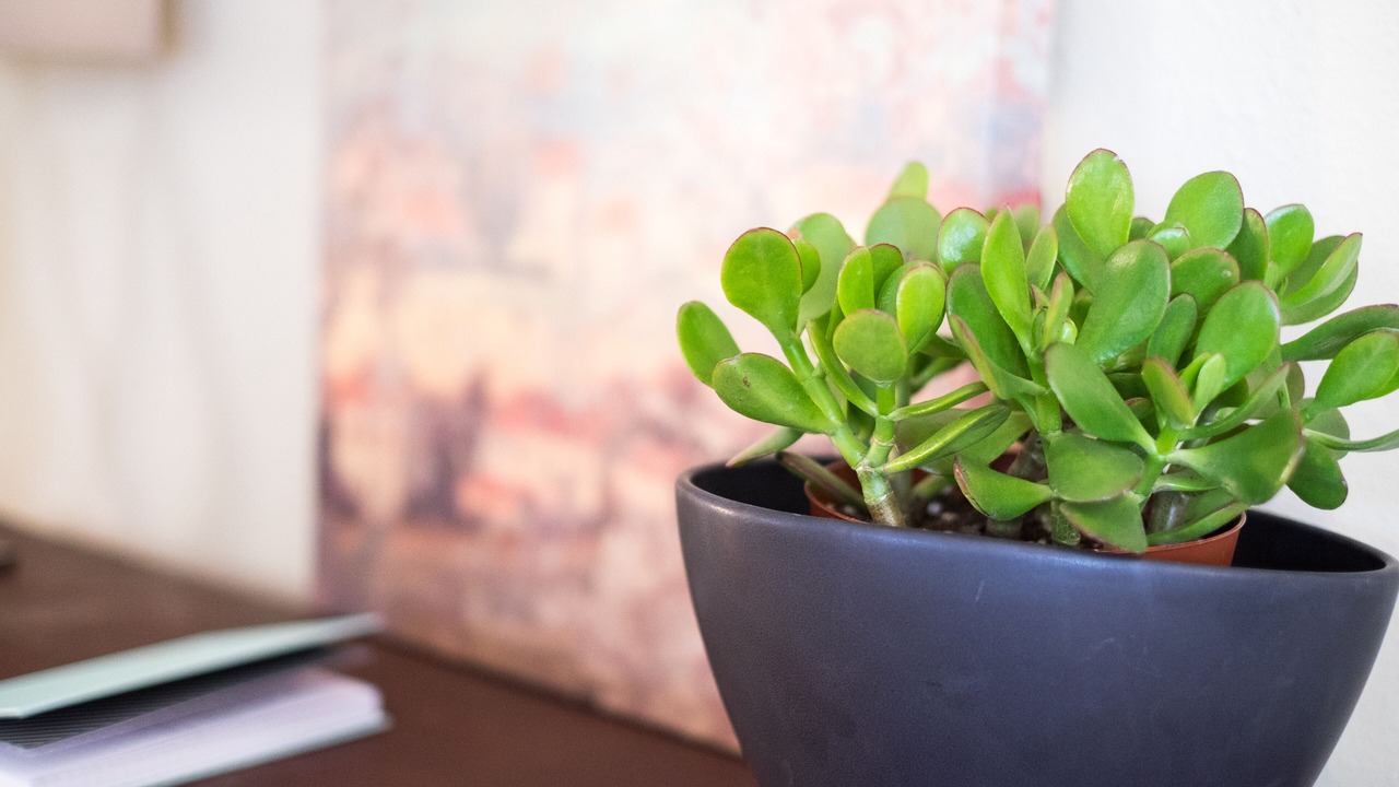 Photo of Others in North Tabor