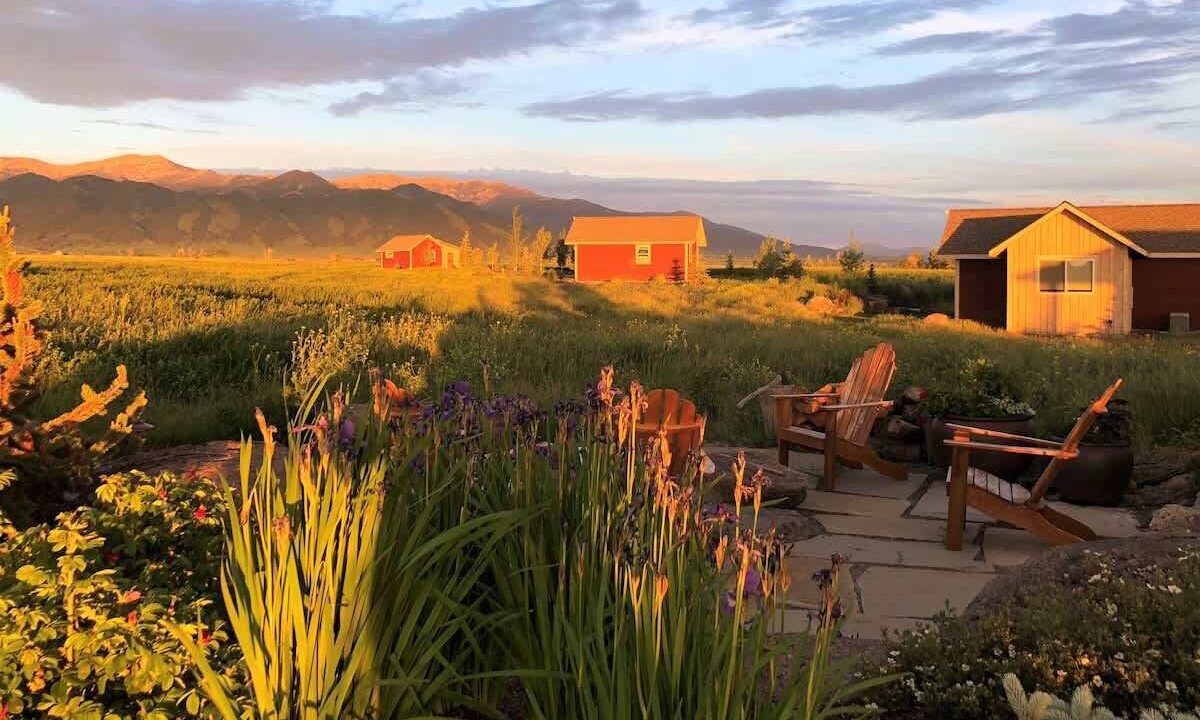 Photo of Others in Belgrade