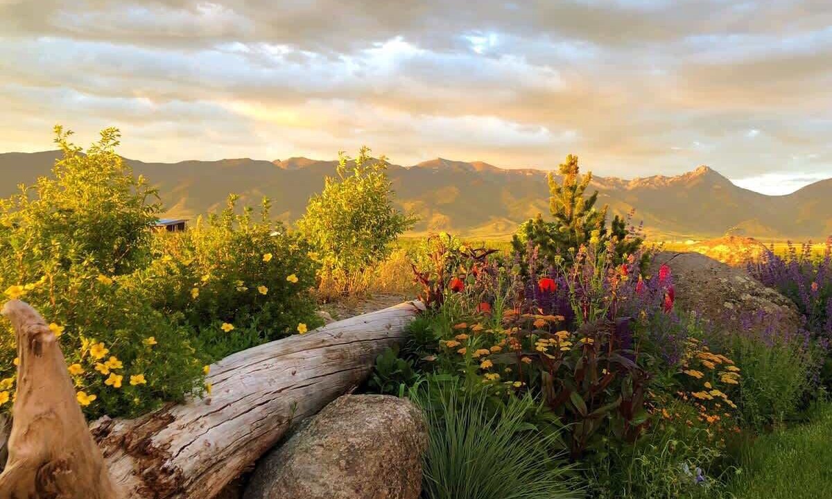 Photo of Others in Belgrade