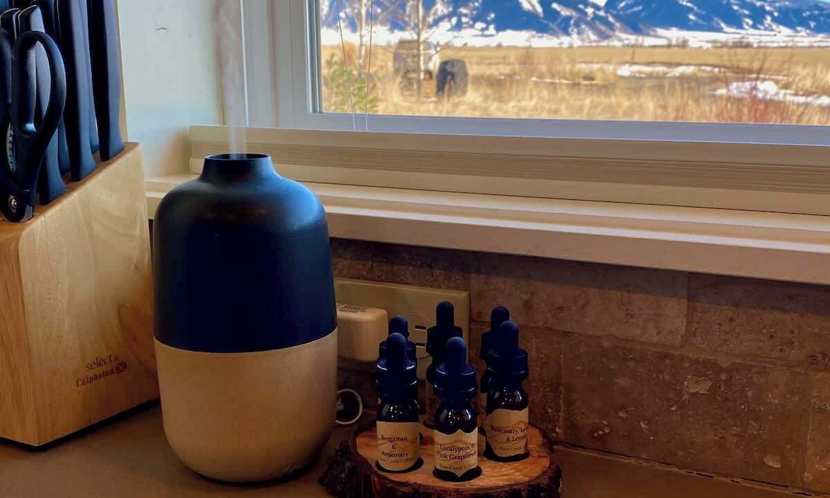 Photo of Others in Belgrade