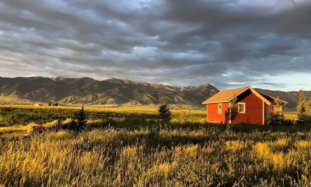 Photo of Others in Belgrade