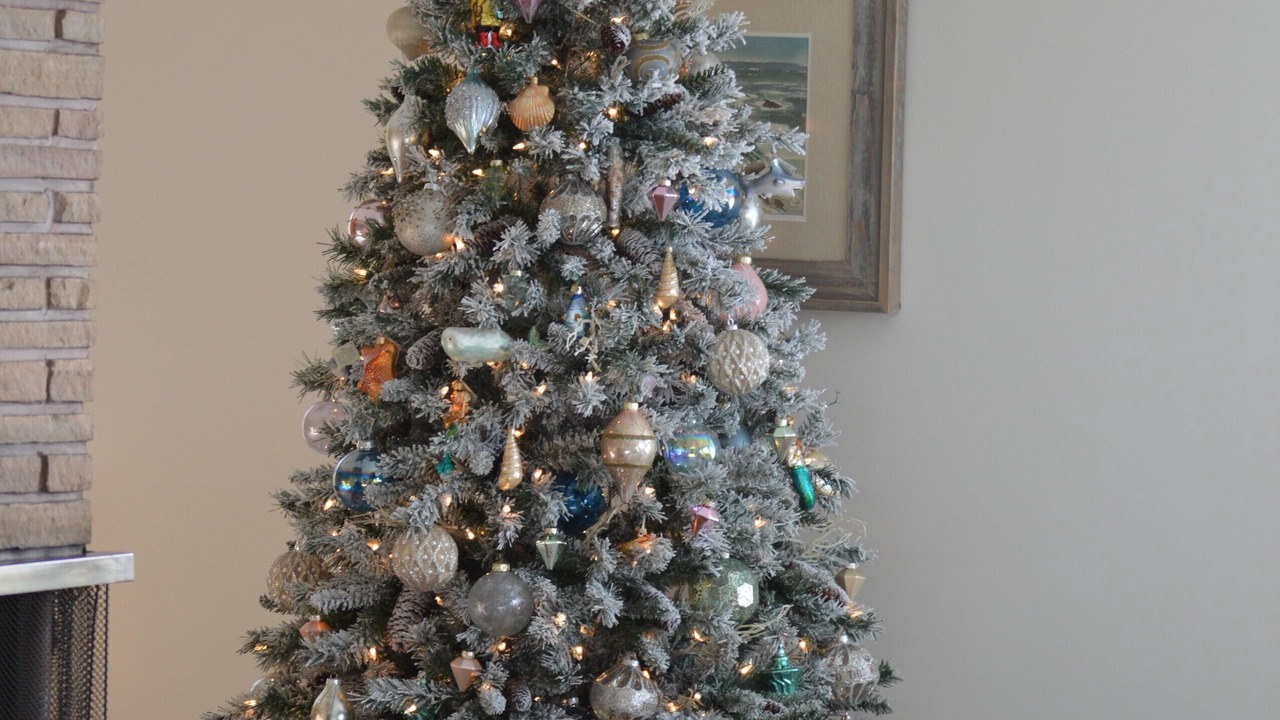 Photo of Others in Crescent City North