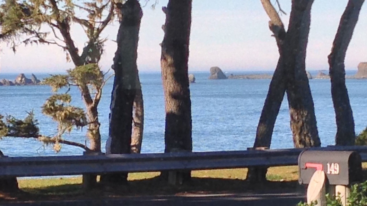 Photo of Others in Crescent City North