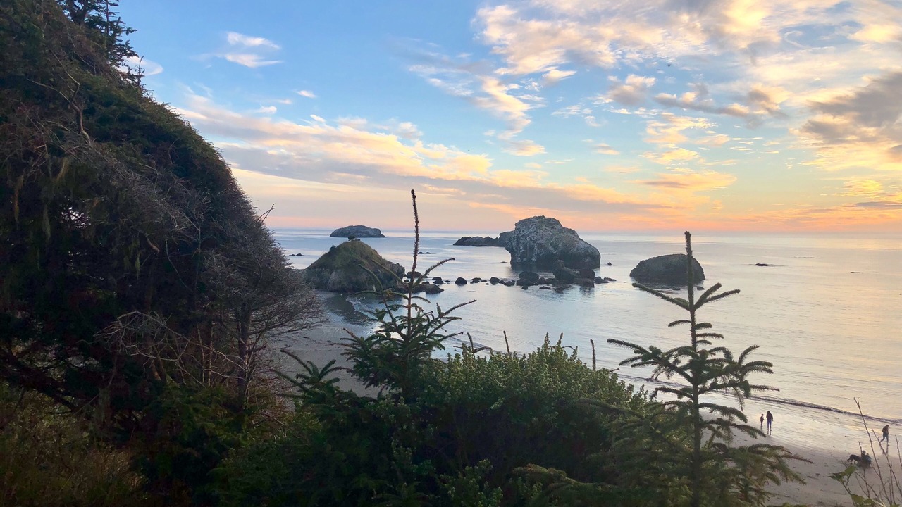 Photo of Others in Crescent City North