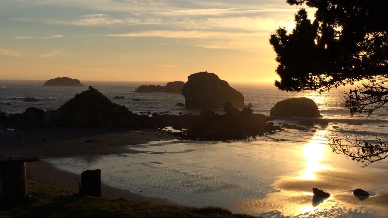 Photo of Others in Crescent City North