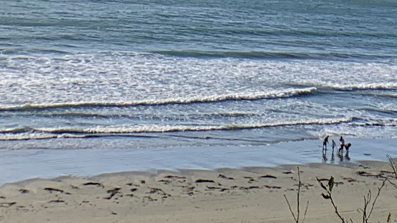 Photo of Others in Crescent City North