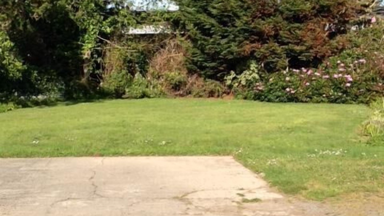 Photo of Others in Crescent City North