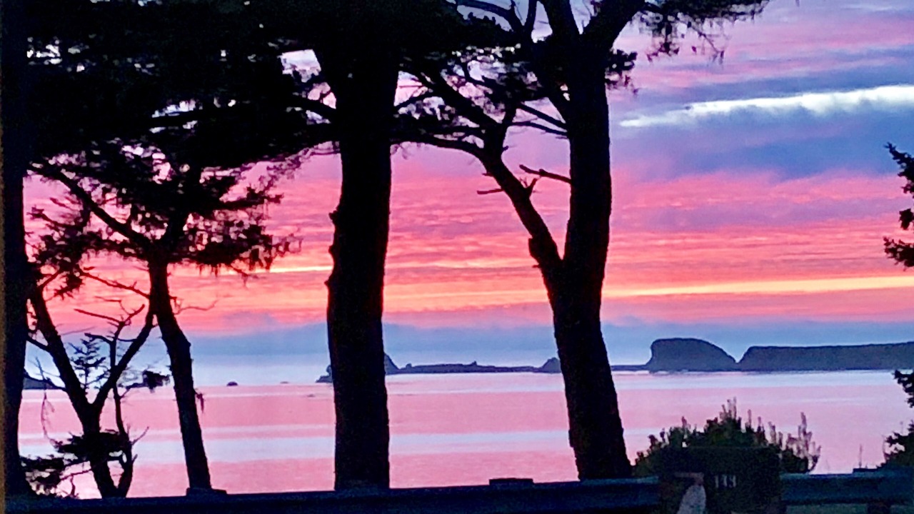 Photo of Others in Crescent City North