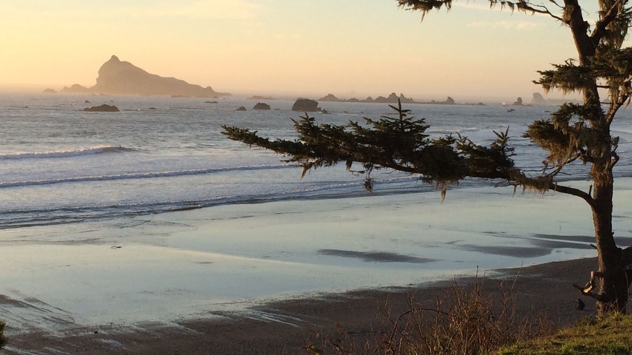 Photo of Others in Crescent City North