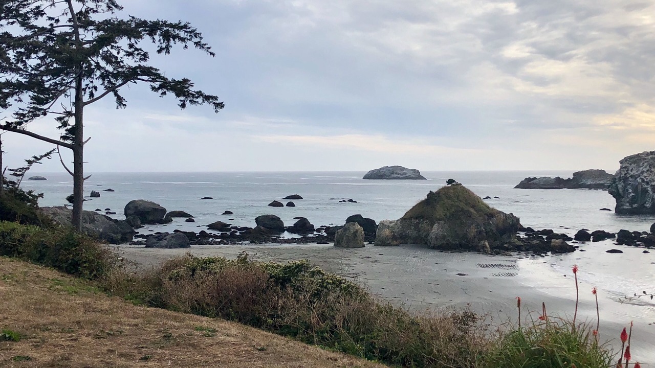 Photo of Others in Crescent City North