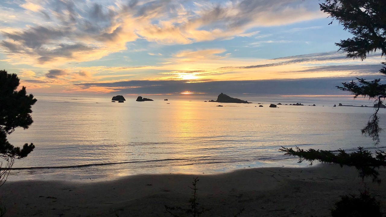 Photo of Others in Crescent City North