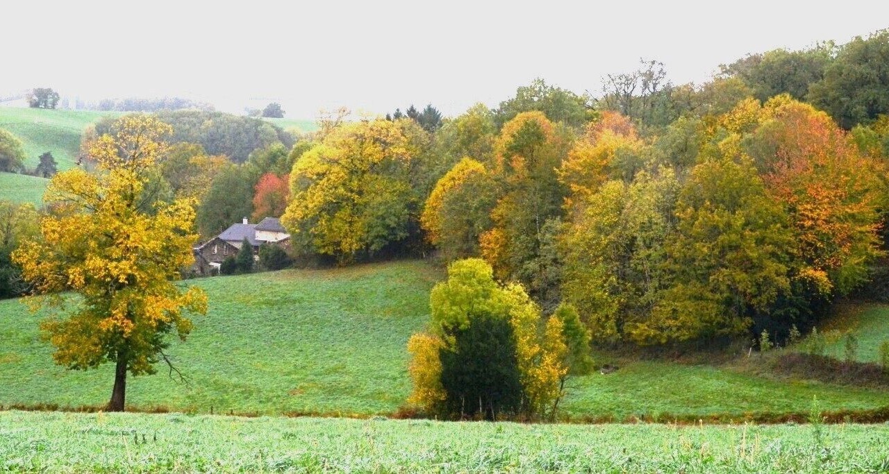 Photo of Others in Saint-Pierre-de-Trivisy
