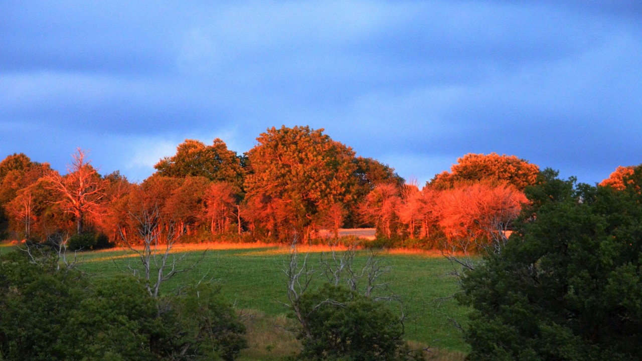 Photo of Others in Saint-Pierre-de-Trivisy