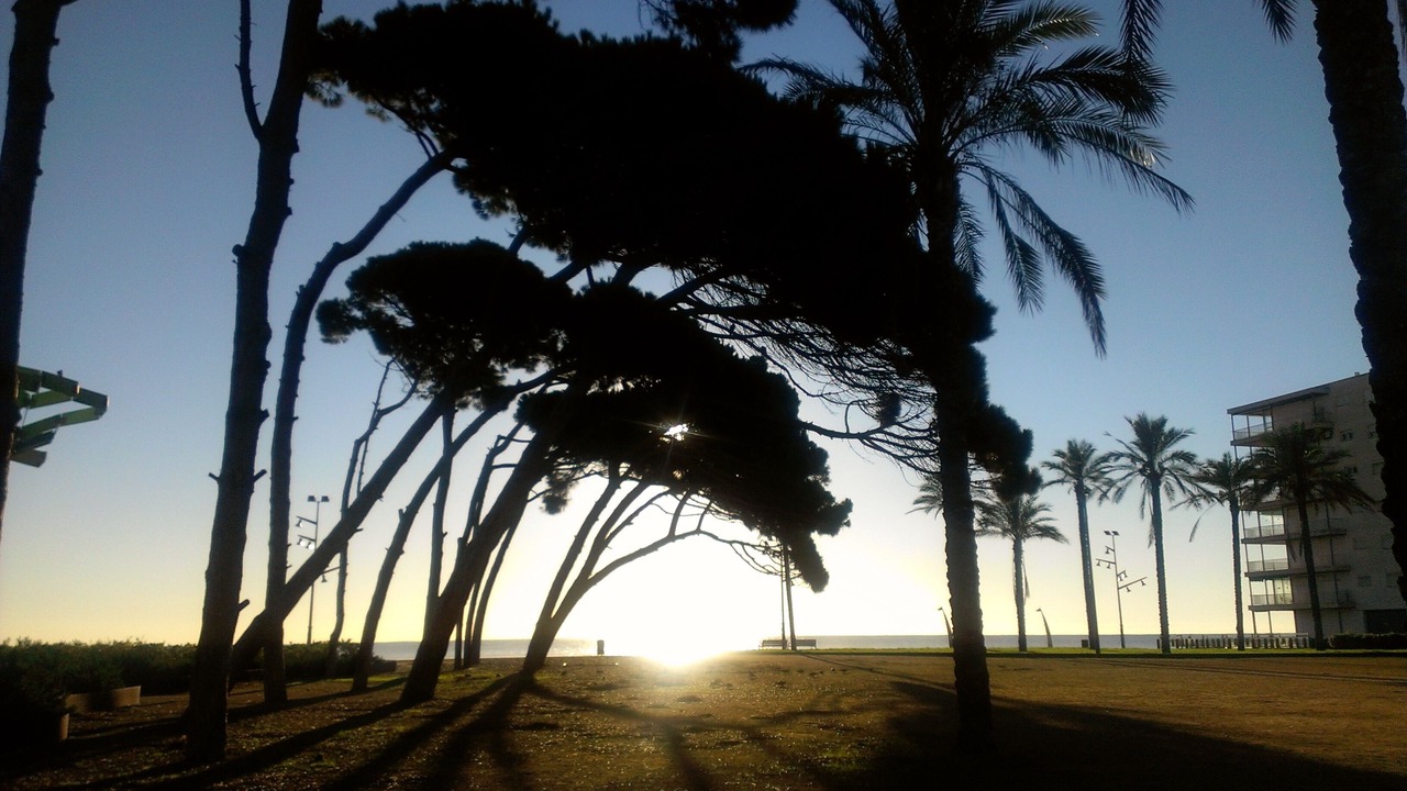 Photo of Others in Cap de Salou