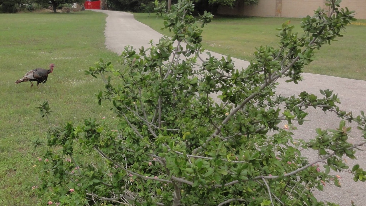 Photo of Others in Hudson Bend