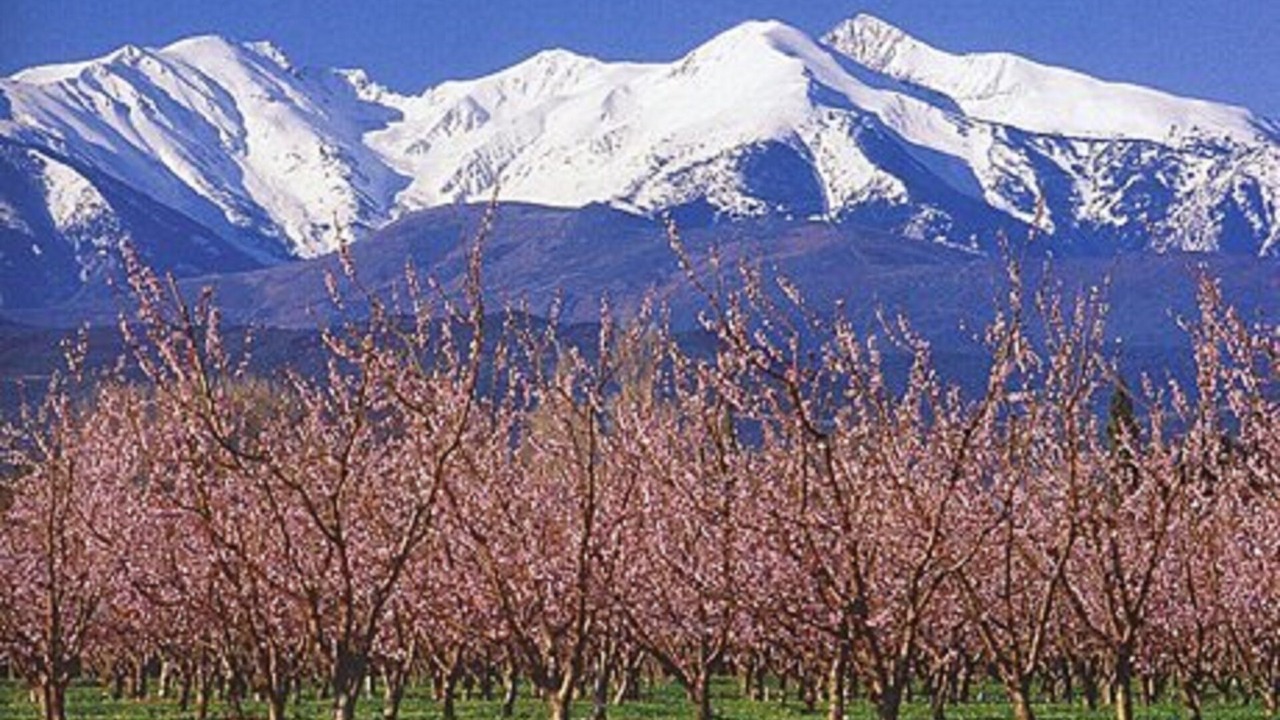Photo of Outdoor in Maureillas-Las-Illas