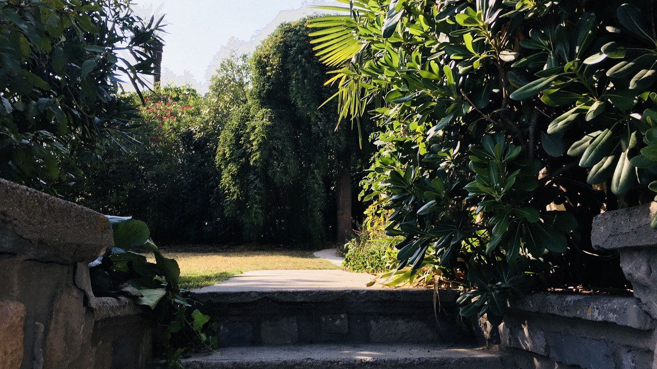 Photo of Outdoor in Carcassonne