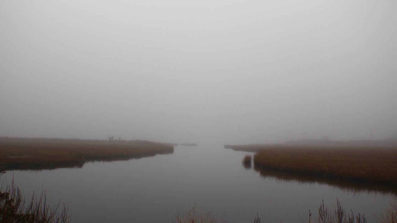 Photo of Others in Stonington