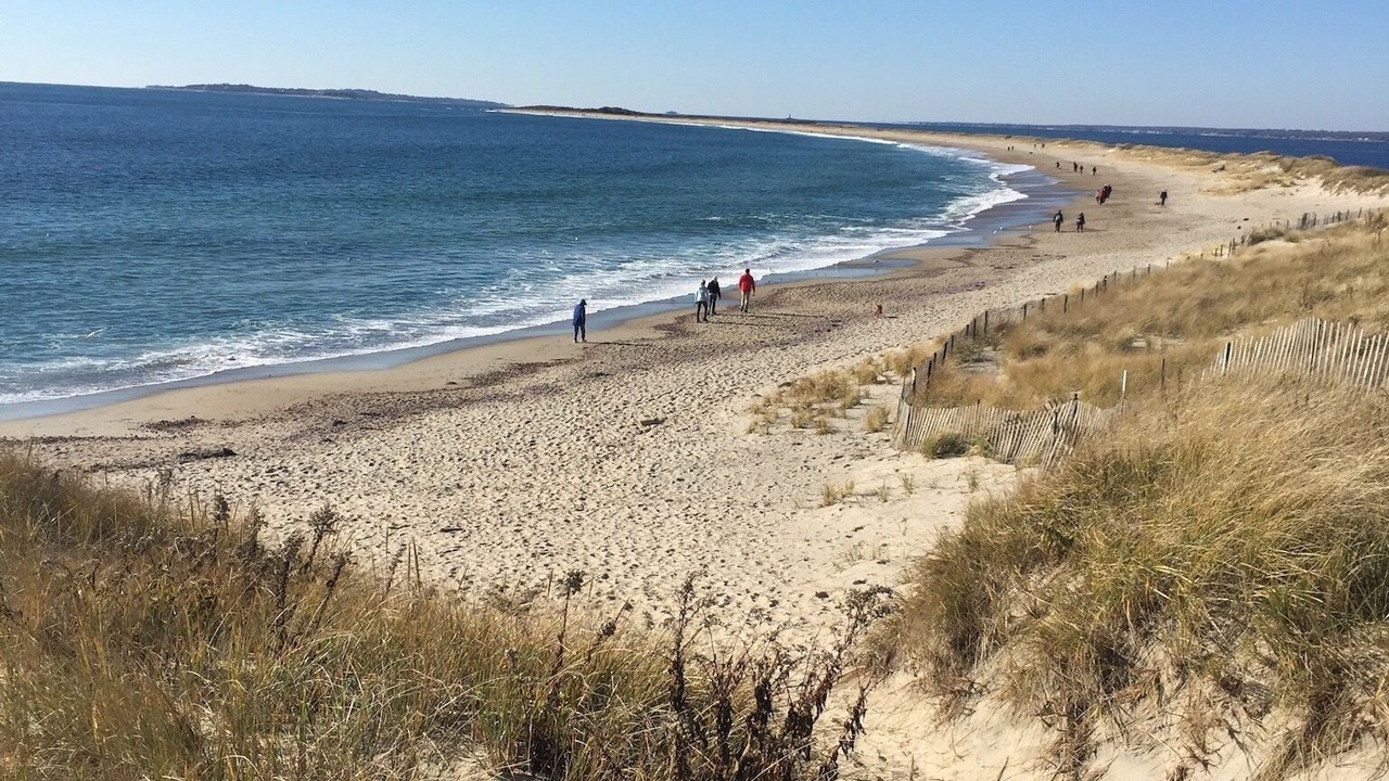 Photo of Others in Stonington