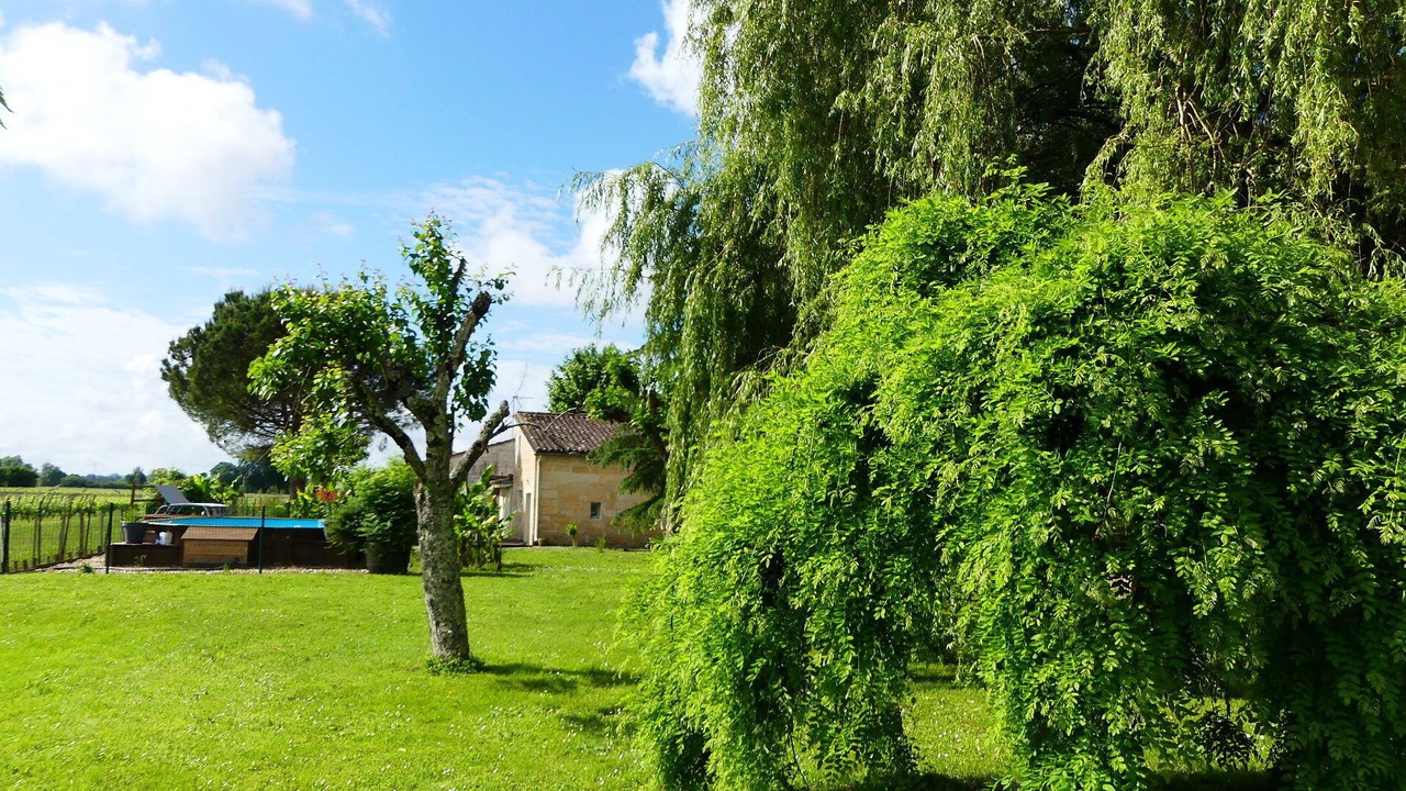 Photo of Outdoor in Saint-Pey-d'Armens