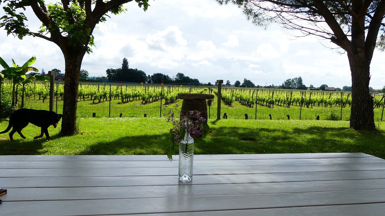 Photo of Outdoor in Saint-Pey-d'Armens