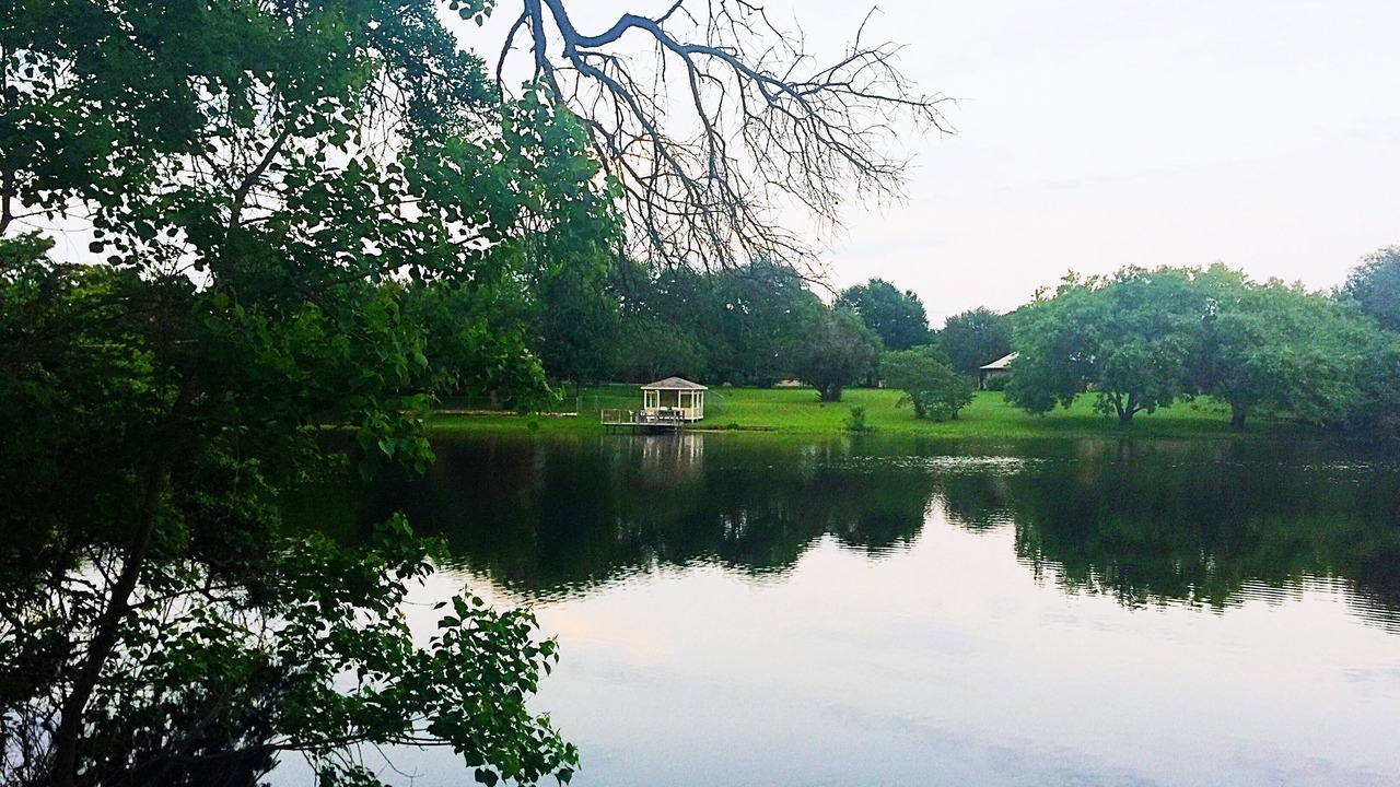 Photo of Outdoor in Lacy-Lakeview