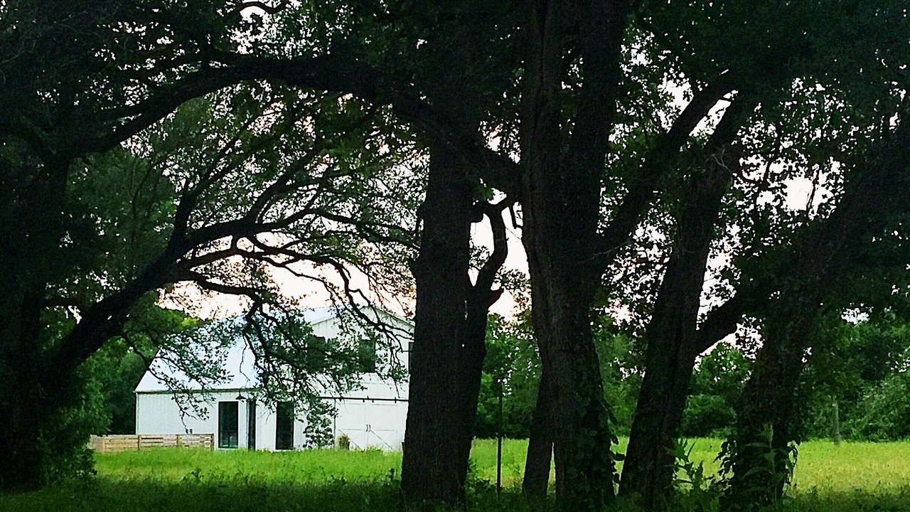 Photo of Others in Lacy-Lakeview
