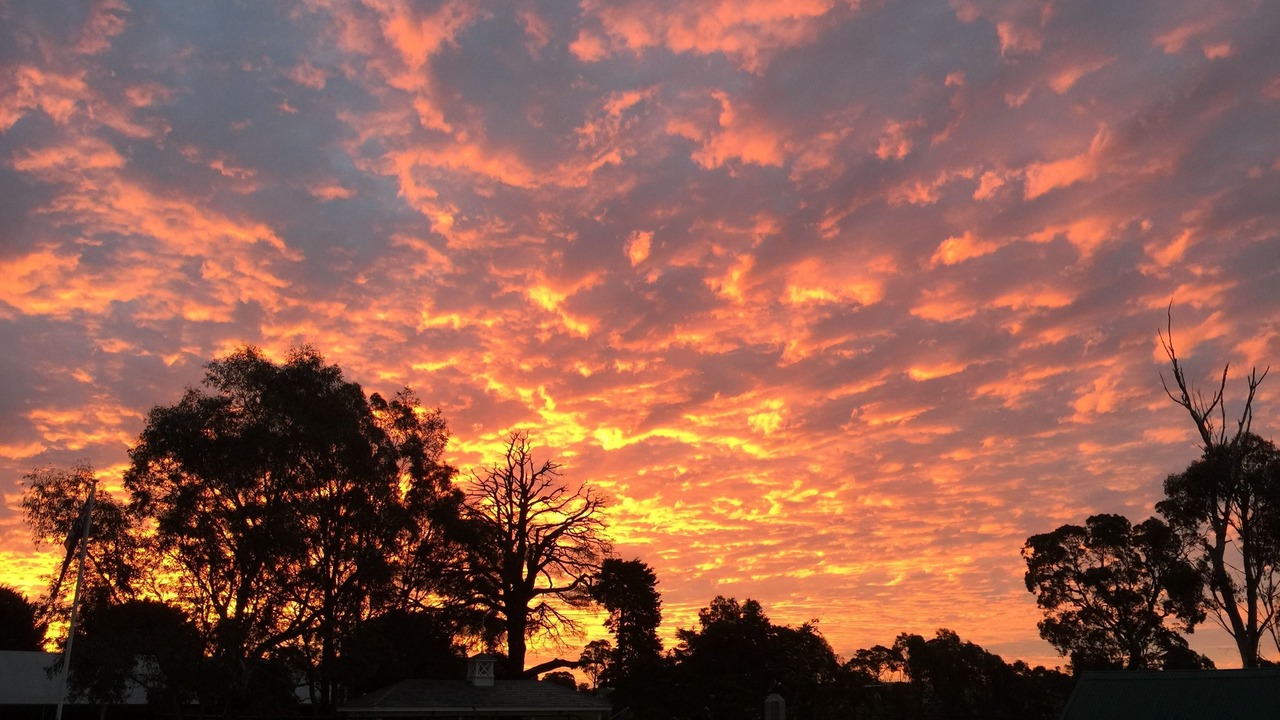 Photo of Outdoor in Taradale