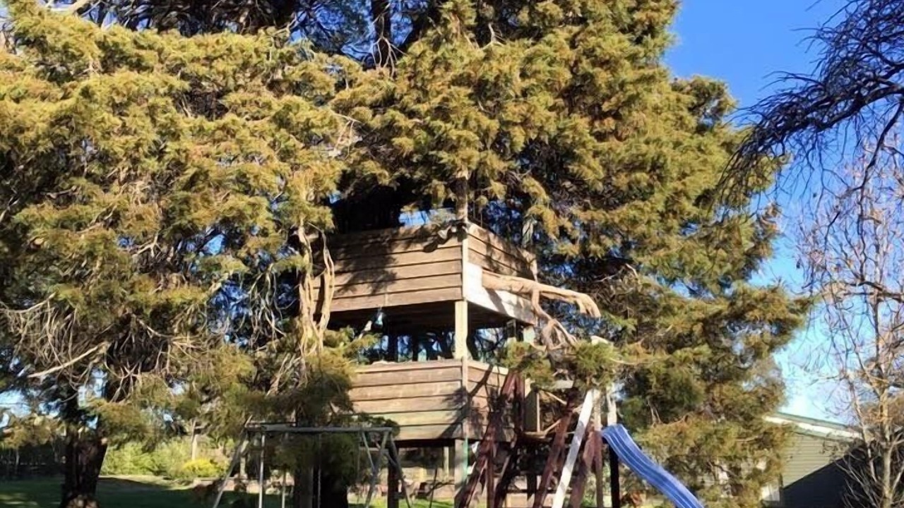 Photo of Outdoor in Taradale